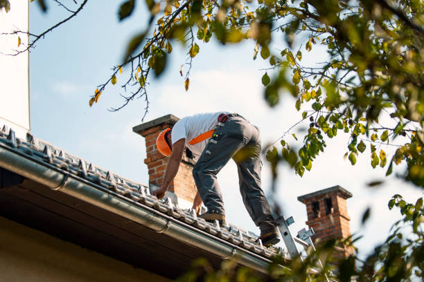 Best Roof Leak Repair  in Jasper, GA